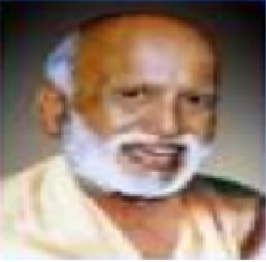 H.H. Sri Vishwesha Theertha Swamiji